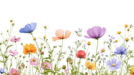 Fototapeta premium Flowers Bouquets and Botanical Elements PNGs on White Background