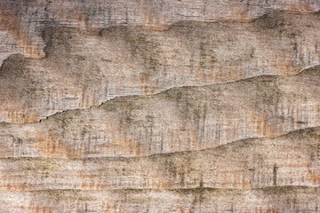 wooden board texture close up as background