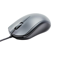Mouse side view isolate on transparent background