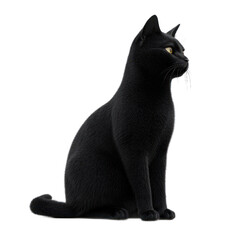 Black Cat character 3D generate side view isolate on transparent background
