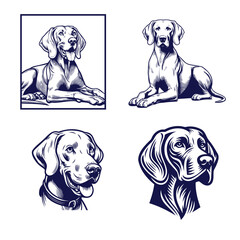 A Collection of Weimaraner Silhouettes, Weimaraner dog Standing silhouette Design, Dog Clipart vector illustration in black and white
Vintage illustration of a pointer dog breed, retro style monohrome