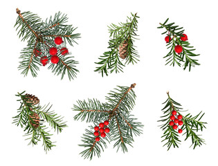 Naklejka premium A set of coniferous branches decorated with artificial red berries and cones. Blue spruce, Christmas tree, yew branches. Design element for creating festive Christmas arrangements, frames, cards.