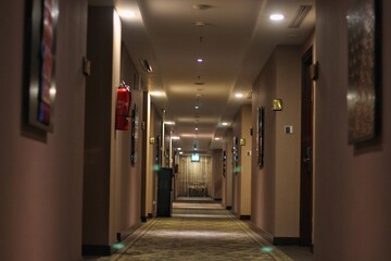 Warmth of luxurious ambiance in the hallway. Illuminated by soft lighting, interior exudes elegance...