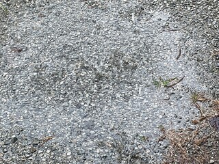 雨の後に砂利の中にできた水たまりのクローズアップ。小さな水たまりが周囲の空や木々を映し、砂利がテクスチャーとコントラストを加えています。