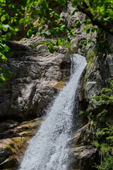 Photography of trees, Maria (Mary) river and Marii waterfall in the Retezat Mountains in Uricani, Hunedoara Romania
