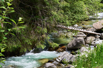 Jiet, mountain river flowing through trees and firs with clear and fast water