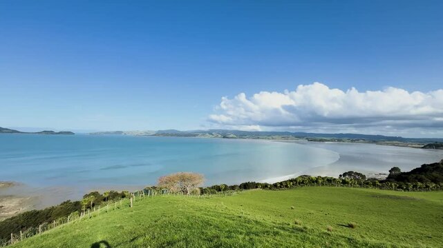 View of a park in New Zealand. Blue ocean and green grass field on spring day. Duder Park.