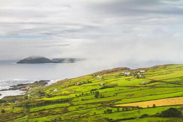 Green farm fields in the south of Ireland on a summer. Agricultural Irish landscape. Ireland