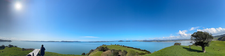 Fototapeta premium View of a park in New Zealand. Blue ocean and green grass field on spring day. Duder Park.