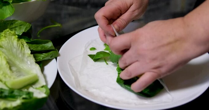 cooking process rice paper wrap salad cucumber and pieces of lard woman's hands on white plate oriental food cooking step by step