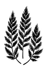 Leaves . Black and white botanical pattern. For use in graphics, materials. Abstract plant shapes. Minimalist illustration for printing on wall decorations.