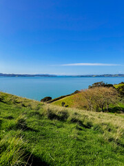 View of a park in New Zealand. Blue ocean and green grass field on spring day. Duder Park.