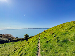 View of a park in New Zealand. Blue ocean and green grass field on spring day. Duder Park.