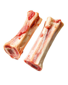 Raw beef marrow bones on transparent background