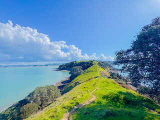 View of a park in New Zealand. Blue ocean and green grass field on spring day. Duder Park.