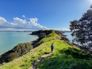 View of a park in New Zealand. Blue ocean and green grass field on spring day. Duder Park.