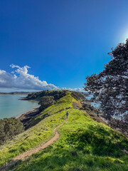 View of a park in New Zealand. Blue ocean and green grass field on spring day. Duder Park.