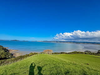 View of a park in New Zealand. Blue ocean and green grass field on spring day. Duder Park.