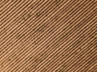 Fototapeta premium Lignes et terre