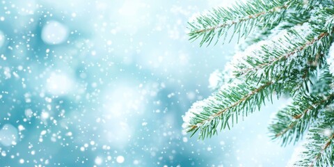 Obraz premium Pine branches adorned with fresh snow shimmer softly against a tranquil winter backdrop filled with falling snowflakes