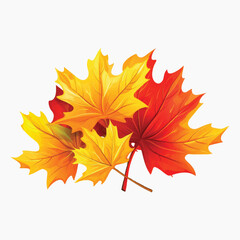 Vibrant autumn maple leaves illustration