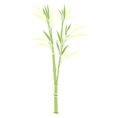 Minimalistic Bamboo Plant Design
