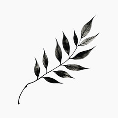 Elegant monochrome botanical leaf illustration