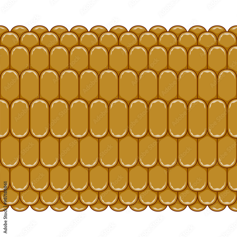 Poster horizontal seamless pattern with corn cob texture, maize. color vector background.