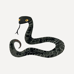Black snake illustration with yellow eyes