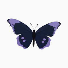 Elegant purple butterfly illustration
