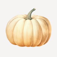 Realistic watercolor pumpkin illustration