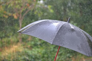 Umbrella in the pouring rain