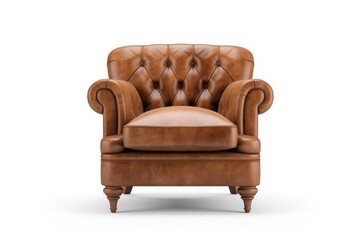 Leather armchair in brown color on white background. Luxurious expensive upholstered furniture.