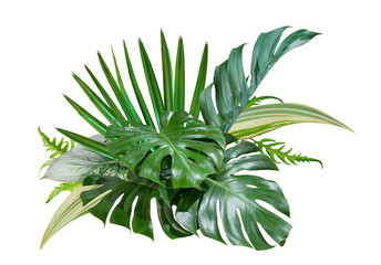 Bouquet of tropical green leaves botanical decorative arrangement nature backdrop isolated on...