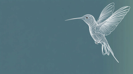 A minimalist outline of a hummingbird in mid-flight with a simple blue background , vector and minimalistic picture of an animal on a plain background