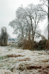 Snow and rime in rural China