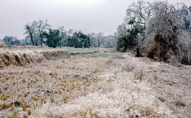 Snow and rime in rural China