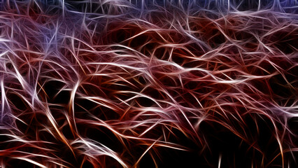 Snow and rime in rural China