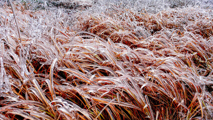 Snow and rime in rural China