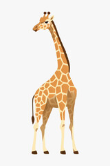 Illustrated giraffe on white background