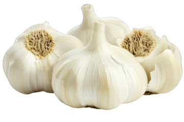 Fresh garlic bulbs, known for their strong flavor and numerous health benefits, showcased in a vibrant still life.