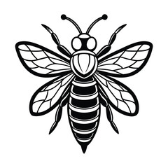Black and White Bee Vector for Nature Illustrations, Intricate Bee Illustration for Stock Use