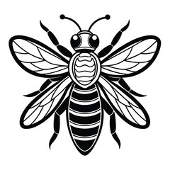 Black and White Bee Vector for Nature Illustrations, Intricate Bee Illustration for Stock Use