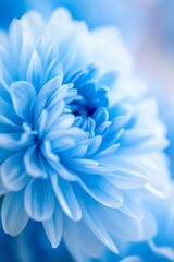 Obraz premium A close-up of a blue flower with a blurred background, featuring the flower in sharp focus in the foreground and the center
