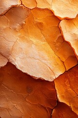  A close-up of a rock wall with a cell phone positioned in its center