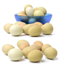 Black eggs on a white background 