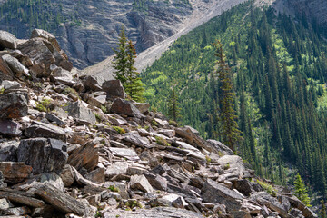 Scenic view around moraine lake area , Canada