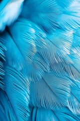  A tight shot of a blue bird's wing showcasing its white feathered spot