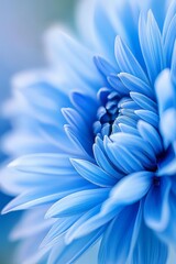 Obraz premium A tight shot of a blue bloom with softly blurred backdrop of its petals, focusing on the flower's center