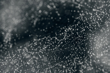 Spider web covered with dew drops on dark background.